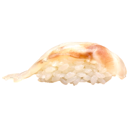 SUZUKI NIGIRI